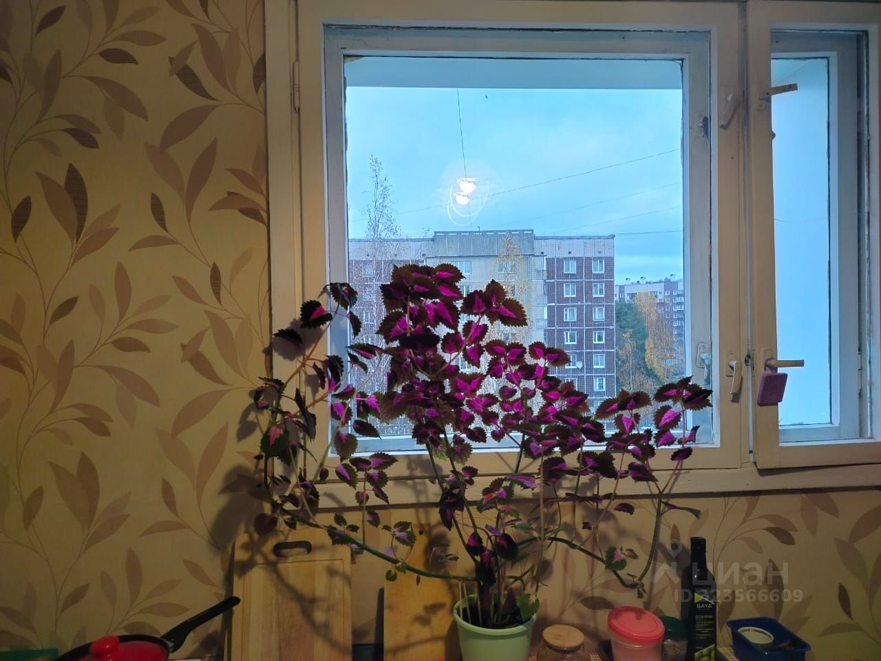 Продажа комнаты Всеволожск, Ленинградская улица, 21к1