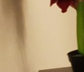 Сдать в аренду Квартиры вторичка 1-я Гражданская улица, 99К1   