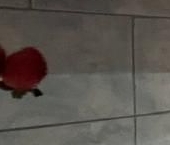 Продать Квартиры вторичка Полюстровский проспект, 11К2   