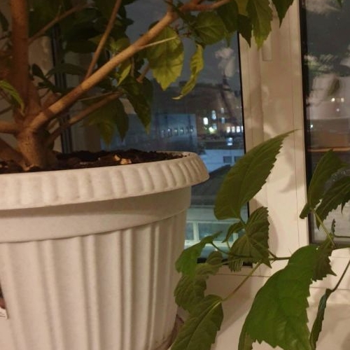 3-комн квартира 10-я Советская улица, 26