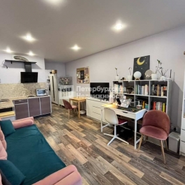 Продажа студии г Мурино, г Мурино, пр-кт Авиаторов Балтики, д 3 к 1, д. 1 Продажа студии г Мурино, г Мурино, пр-кт Авиаторов Балтики, д 3 к 1, д. 1