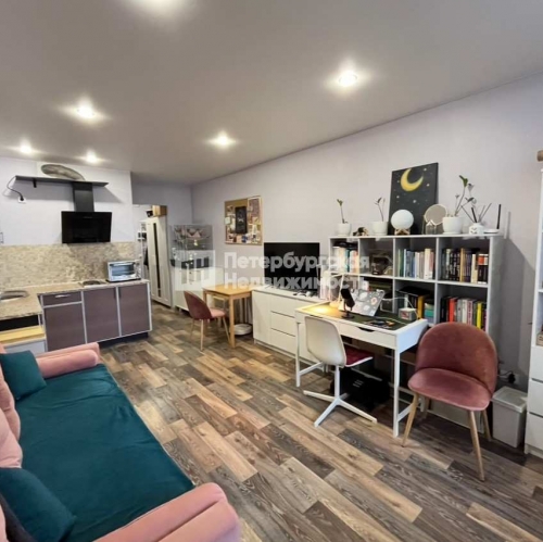 Студия г Мурино, г Мурино, пр-кт Авиаторов Балтики, д 3 к 1,  д. 1