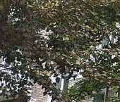 Продать Квартиры вторичка Новолесной переулок, 7   