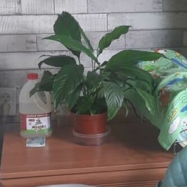 Продажа 2-комн квартиры на вторичном рынке Альпийский переулок,  д. 31