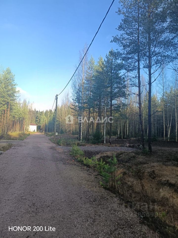 Продажа земли Рощино пгт, проезд Мельничный