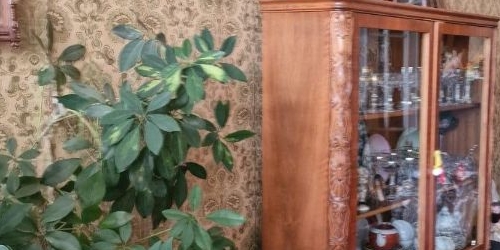 2-комн квартира Кутузовский проспект, 30