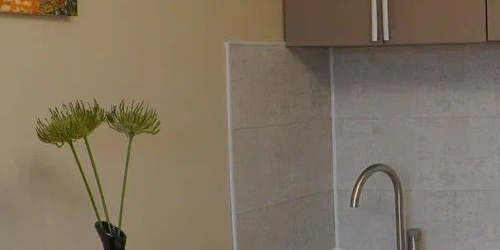 Студия аллея Первой Маевки, 15с1