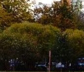 Продать Квартиры вторичка Ясный проезд, 12К2   