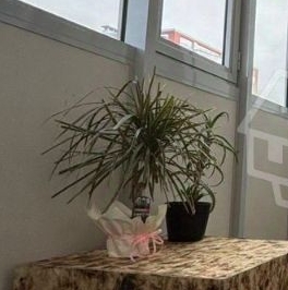 Продажа 1-комн квартиры на вторичном рынке проспект Героев, 18