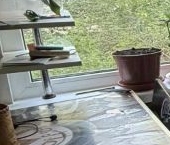 Продать Квартиры вторичка Колпино, Павловская улица, 54   