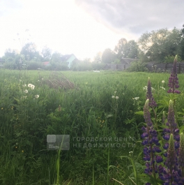 Продажа земли Горбуново д.,