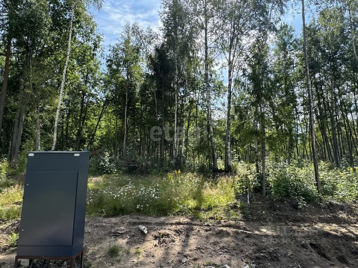 Продажа земли Ламполово кп,  д. 50