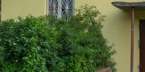 1-комн квартира пос. Бугры, Клубный переулок, 5