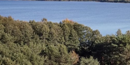 Студия Сестрорецк, проспект Тарховский, 24В