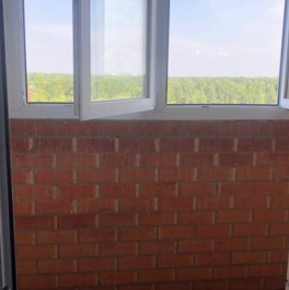 Продажа 1-комн квартиры на вторичном рынке Зелёный, Школьная улица,  д. 9