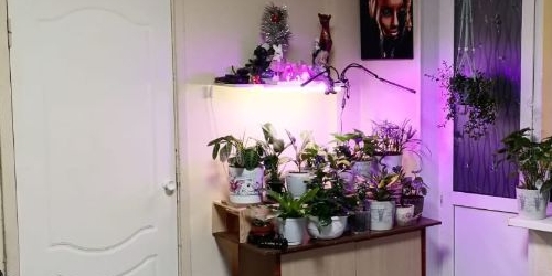 2-комн квартира Северный проспект, 73К3