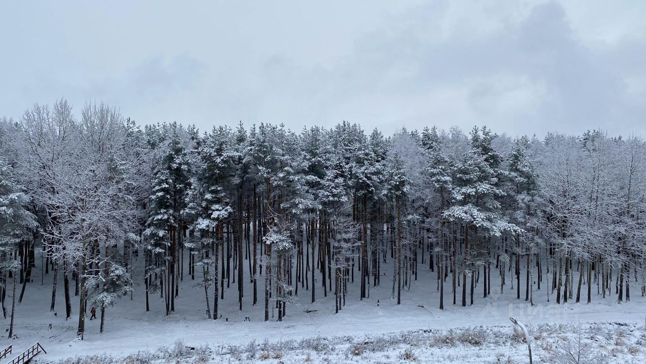 Аренда студии Мурино, улица Екатерининская, 23
