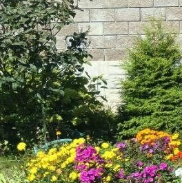 Продажа 1-комн квартиры на вторичном рынке Мечта кп, с. Озерецкое, бульвар Мечта, 10 Продажа 1-комн квартиры на вторичном рынке Мечта кп, с. Озерецкое, бульвар Мечта, 10