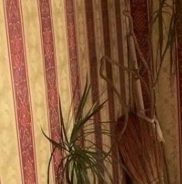 Продажа 2-комн квартиры на вторичном рынке Профсоюзная улица, 156К3 Продажа 2-комн квартиры на вторичном рынке Профсоюзная улица, 156К3