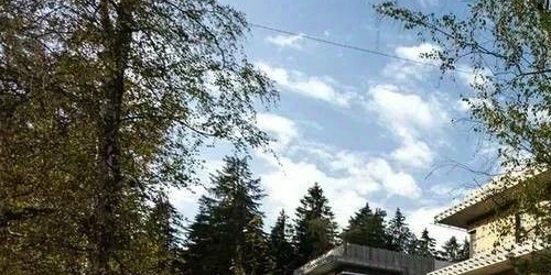 Коттедж/дом пос. Лисий Нос, Приморское шоссе, 26А