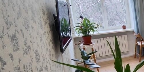 2-комн квартира Болотная улица, 14