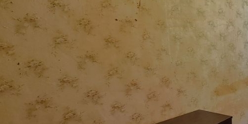 2-комн квартира Пушкин, Ленинградская улица, 20