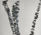 Продать Квартиры вторичка набережная Макарова, 60   