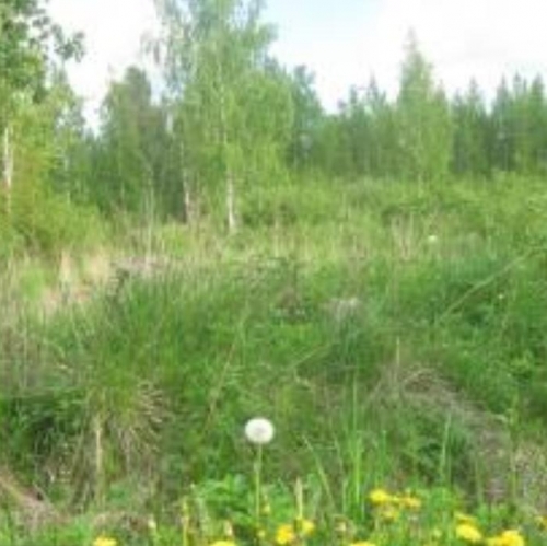 Земельный участок Пето-Славянка п, 3 Пятилетки ул,  д. 31