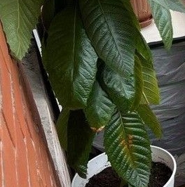 Продажа 3-комн квартиры на вторичном рынке Пушкин, Артиллерийская улица, 4 Продажа 3-комн квартиры на вторичном рынке Пушкин, Артиллерийская улица, 4