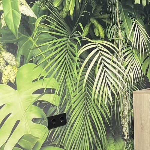 Студия Мытищи г, Колпакова ул,  д. 44