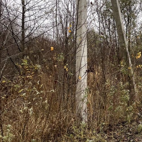 Земельный участок Приозерск, Солнечный переулок