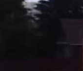 Продать Дачи, коттеджи, загородные дома Кировец-2 СТ   