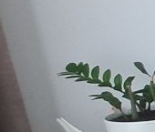 Продать Квартиры вторичка Химки, улица Родионова, 7А   