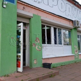 Аренда ПСН Сярьги, Центральная ул., д. 14, лит. А