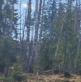 Продажа дома Минилахти кп, улица Светлая, д. 66 Продажа дома Минилахти кп, улица Светлая, д. 66