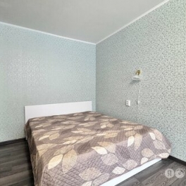 Аренда 1-комн квартиры на вторичном рынке Меншиковский проспект,  д. 1