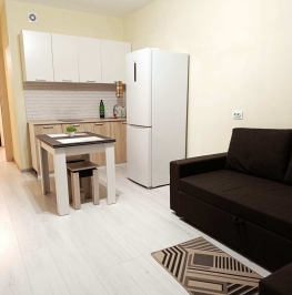 Аренда студии Ветеранов проспект, 179