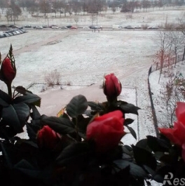 Продажа 1-комн квартиры на вторичном рынке Загребский б-р,  д. 17,  к. 3