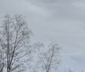 Продать Земельные участки, земля Вырица городской поселок, улица Маяковского   