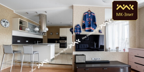 2-комн квартира Новочеркасский пр-кт,  д. 33