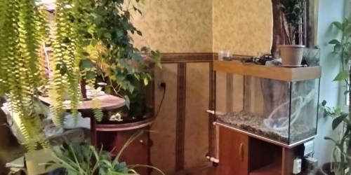 3-комн квартира пос. Металлострой, улица Максима Горького, 5/10