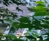 Продать Квартиры вторичка Электросталь, улица Тевосяна, 42а   