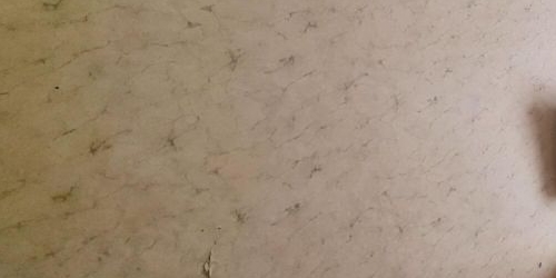 3-комн квартира Пушкин, Октябрьский бульвар, 17