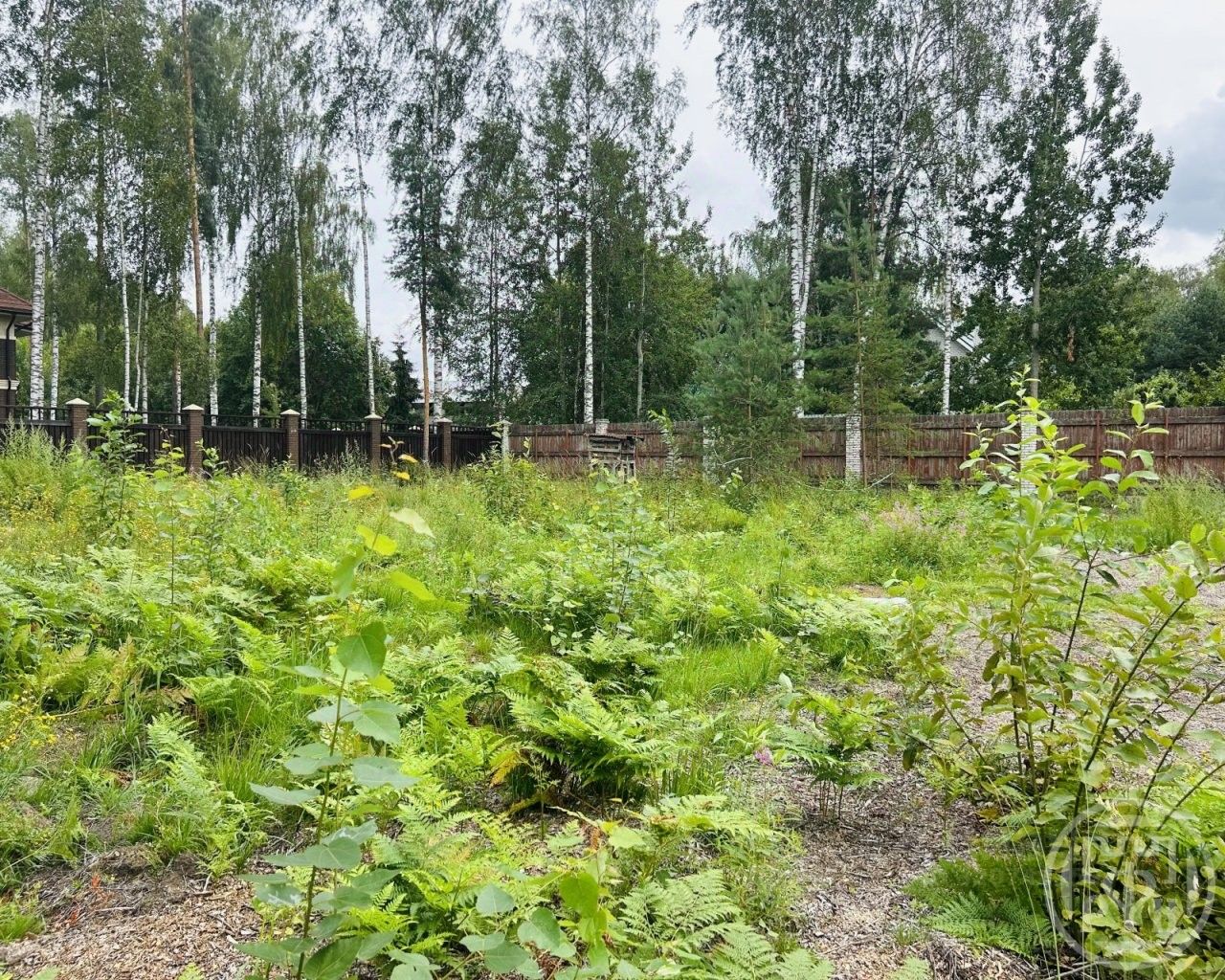 Продажа земли Березовая роща ДНП, Сертолово, улица Сиреневая