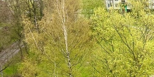 Комната улица Добровольцев, 46