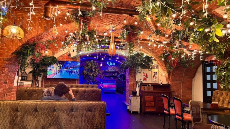 Аренда ПСН Миллионная улица,  д. 4/1