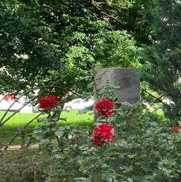 Продажа 1-комн квартиры на вторичном рынке улица Ленсовета, 87к3 Продажа 1-комн квартиры на вторичном рынке улица Ленсовета, 87к3