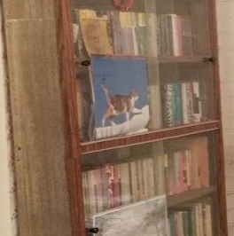 Продажа дома Грибное садоводческий массив, КТС № 3 ЦНИИ имени академика А.Н. Крылова СНТ, улица Синявинская