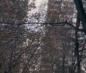 Продать Квартиры вторичка улица Кухмистерова, 13   