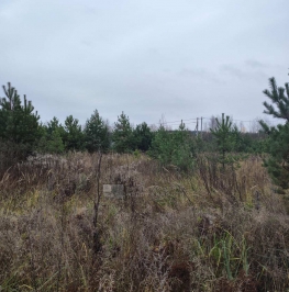 Продажа земли Минино д. Продажа земли Минино д.